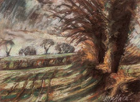 Fred McElwee (20th/21st Century), Longford Fields at Morgan O'Driscoll Art Auctions
