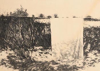 Ross Wilson, The Sheet (1980) at Morgan O'Driscoll Art Auctions