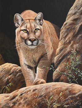 Steve Burgess, Mountain Lion at Morgan O'Driscoll Art Auctions