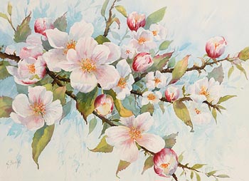 Annemarie Bourke, Apple Blossom at Morgan O'Driscoll Art Auctions
