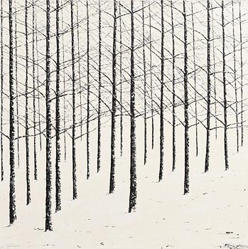 Pauline Walsh, Hushed Snow at Morgan O'Driscoll Art Auctions