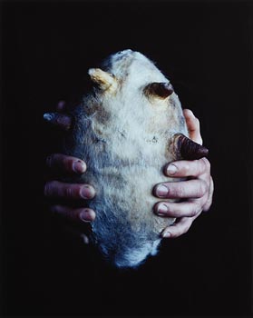 Dorothy Cross, Untitled (2005) at Morgan O'Driscoll Art Auctions