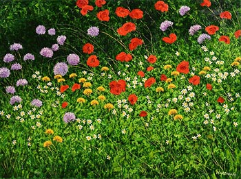 Jerry Marjoram, Wildflowers at Morgan O'Driscoll Art Auctions
