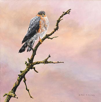 Alan M. Hunt, Sparrow Hawk (2015) at Morgan O'Driscoll Art Auctions