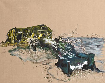Colette Murphy, Flood Series I (2009) at Morgan O'Driscoll Art Auctions