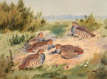 Robert W. Milliken, Partridges at Morgan O'Driscoll Art Auctions