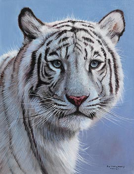 Pip McGarry, Siberian Tiger (2014) at Morgan O'Driscoll Art Auctions