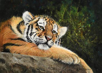 Pip McGarry, Restful Tiger (2015) at Morgan O'Driscoll Art Auctions