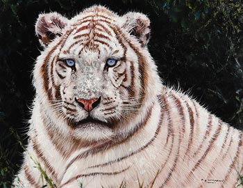 Pip McGarry, Siberian Tiger (2014) at Morgan O'Driscoll Art Auctions