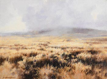 Trevor Geoghegan, Distant Rain (1993) at Morgan O'Driscoll Art Auctions