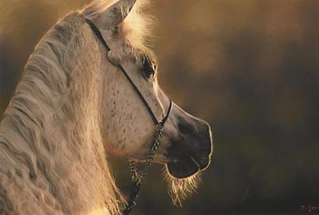 Darren Baker, Horse at Morgan O'Driscoll Art Auctions