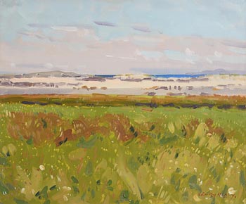 Henry Healy, Looking Towards Innis Boffin at Morgan O'Driscoll Art Auctions