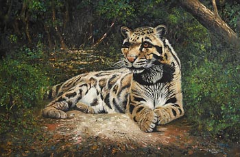 Pip McGarry, Clouded Leopard (1999) at Morgan O'Driscoll Art Auctions
