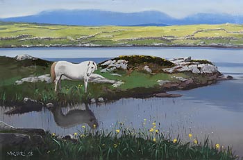 Connemara (1995) at Morgan O'Driscoll Art Auctions