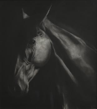 Paddy Lennon, Horse Study (2002) at Morgan O'Driscoll Art Auctions