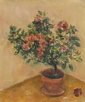 Stella Steyn, Still Life - The Rose Plant at Morgan O'Driscoll Art Auctions