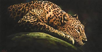 Darren Baker, Leopard at Morgan O'Driscoll Art Auctions
