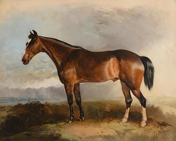 R.T. Bott, A Favourite Hunter (1856) at Morgan O'Driscoll Art Auctions
