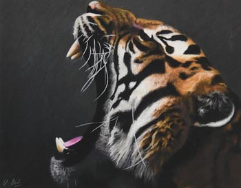 Darren Baker, Tiger at Morgan O'Driscoll Art Auctions