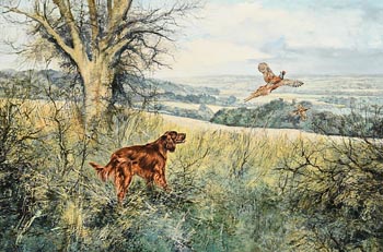 Henry Wilkinson, Irish Setter and Pheasant (1980) at Morgan O'Driscoll Art Auctions