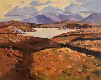 Fergal Flanagan, Winter Light, Roundstone Bog, Connemara at Morgan O'Driscoll Art Auctions