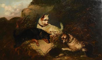 Attributed to George Armfield, Three Terriers at Morgan O'Driscoll Art Auctions