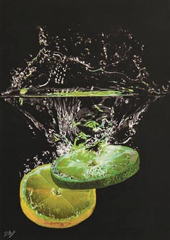 Darren Baker, Lemon and Lime at Morgan O'Driscoll Art Auctions