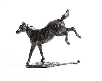 Siobhan Bulfin, Bucking Pony at Morgan O'Driscoll Art Auctions