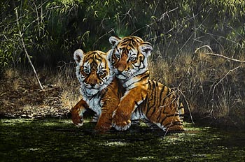 Steve Burgess, Tiger Cubs at Morgan O'Driscoll Art Auctions