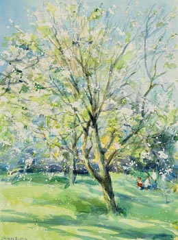 Thomas Ryan, Cherry Blossom at Morgan O'Driscoll Art Auctions
