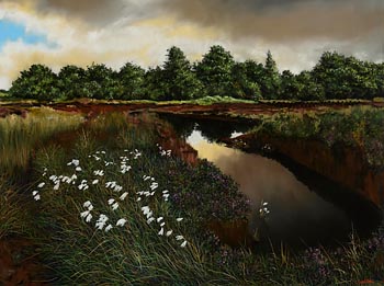 Sam McAteer, Twilight of the Bogs, Offaly at Morgan O'Driscoll Art Auctions
