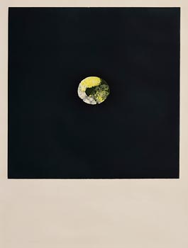 Louis Le Brocquy, Citron (1974) at Morgan O'Driscoll Art Auctions