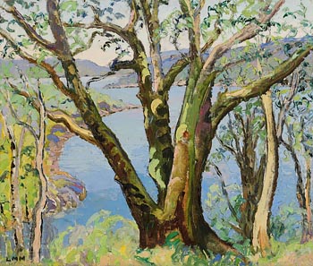 Letitia Marion Hamilton, The Big Tree, Bantry Bay at Morgan O'Driscoll Art Auctions