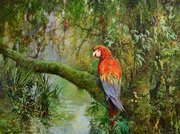 Norman R. Coker, Parrots at Morgan O'Driscoll Art Auctions