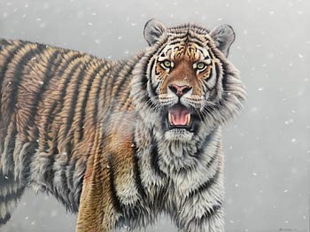 Eric Wilson, Siberian Tiger (2007) at Morgan O'Driscoll Art Auctions