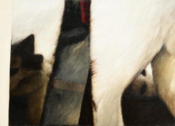 John Shinnors, Three Cats at Morgan O'Driscoll Art Auctions