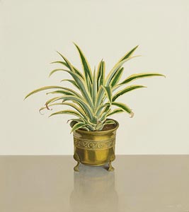 Comhghall Casey, Pineapple Plant (2004) at Morgan O'Driscoll Art Auctions