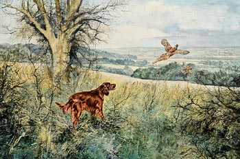 Henry Wilkinson, Irish Setter and Pheasant (1980) at Morgan O'Driscoll Art Auctions