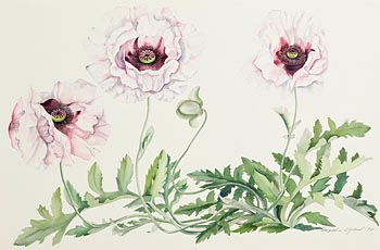 Brigitta Saflund, Pink Poppies (1998) at Morgan O'Driscoll Art Auctions