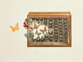Susane Jameson, The Butterfly Collection (1976) at Morgan O'Driscoll Art Auctions