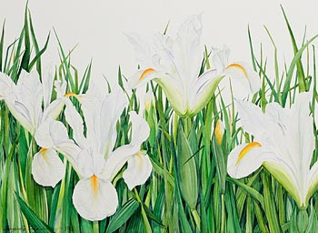 Brigitta Saflund, Waterlilies (1996) at Morgan O'Driscoll Art Auctions