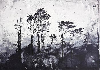 Elizabeth Magill, Parlous Land, from 'Parlous Land' (2006) at Morgan O'Driscoll Art Auctions