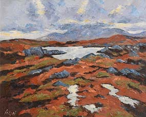 Fergal Flanagan, Winter Light, Roundstone Bog, Connemara at Morgan O'Driscoll Art Auctions