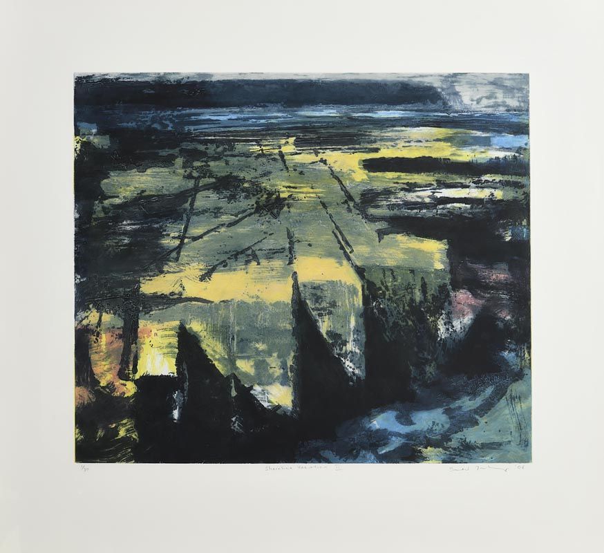 Donald Teskey, Shoreline Variation II (2006) at Morgan O'Driscoll Art Auctions