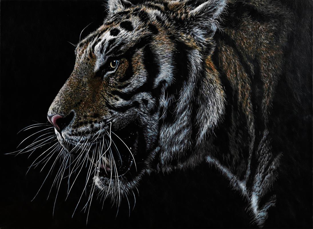 Mark Evans, Tiger at Morgan O'Driscoll Art Auctions