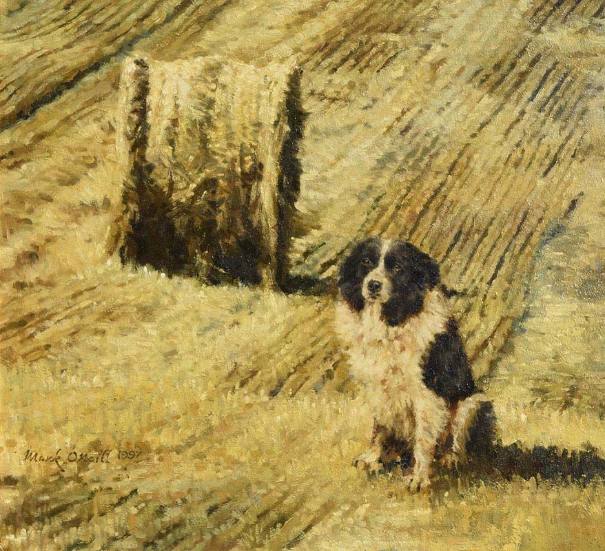 Mark O'Neill, Collie and Straw Bale (1997) at Morgan O'Driscoll Art Auctions